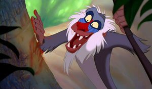 Rafiki.JPG